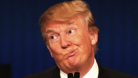 Trump’s Approval Ratings Drop After First Month