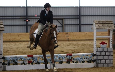 IHSA Huntseat Show at Albion College