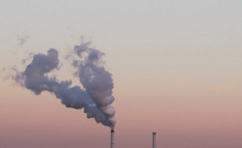 Reducing Your Carbon Footprint: Infographic