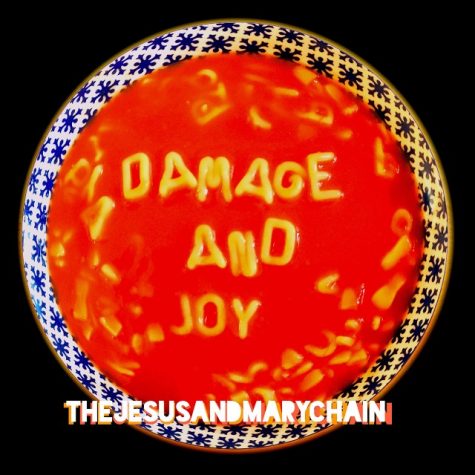 “Damage and Joy”