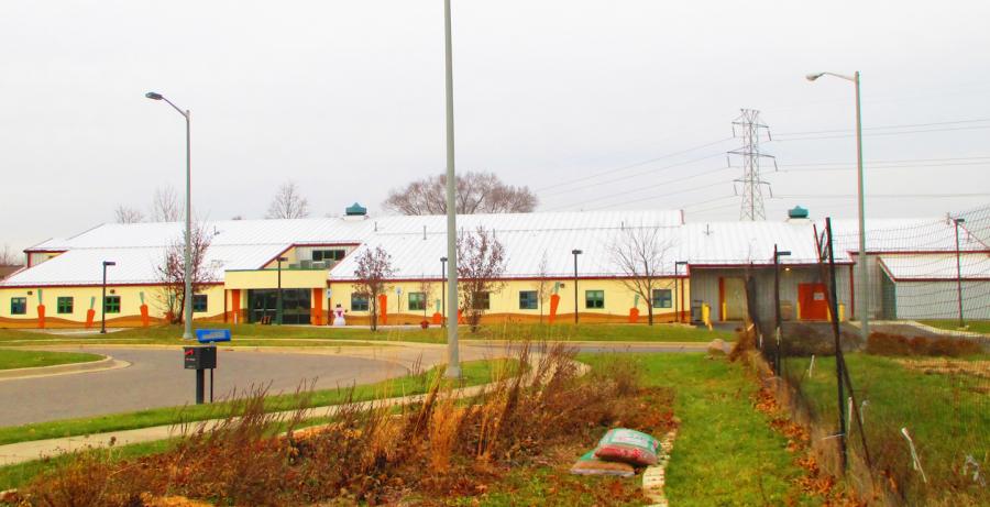 Adjacent to the giant carrots is the Food Gatherers Building at 1 Carrot Way. The colorful building has carrots painted all along the facade. The carrot theme continues throughout the building. The carrot is also part of the organization’s logo.