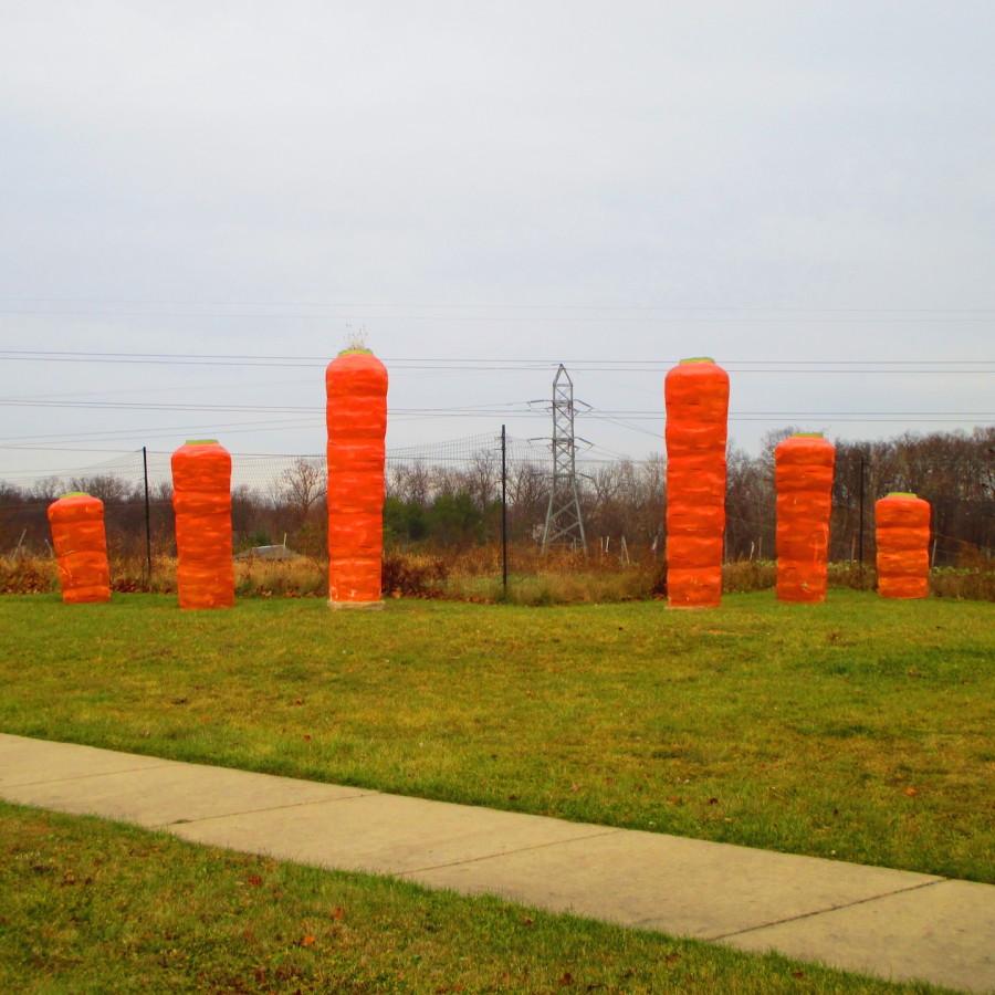 Carrots on the Food Gatherers property stand like columns of a Greek temple. This landmark symbolizes Food Gatherers. The carrots represent nutrition, practicality and deep roots like that of Food Gatherers. Food Gatherers is Michigan’s first food rescue program, founded in 1988.
