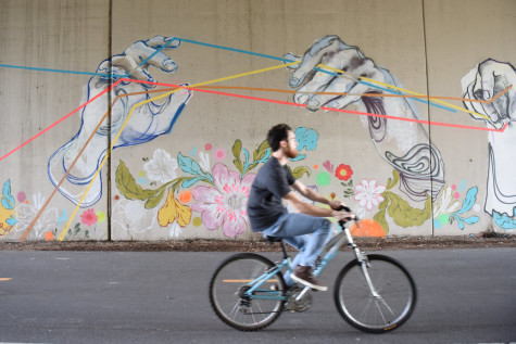 A bicyclist riding through the Dequindre Cut.