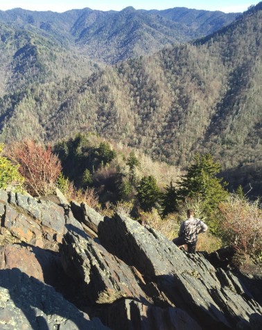 The peak of the Chimney Top outlook can only be reached by scaling a nearly vertical rock cropping. Free hand rock climbing experience is helpful in making this ascent. 