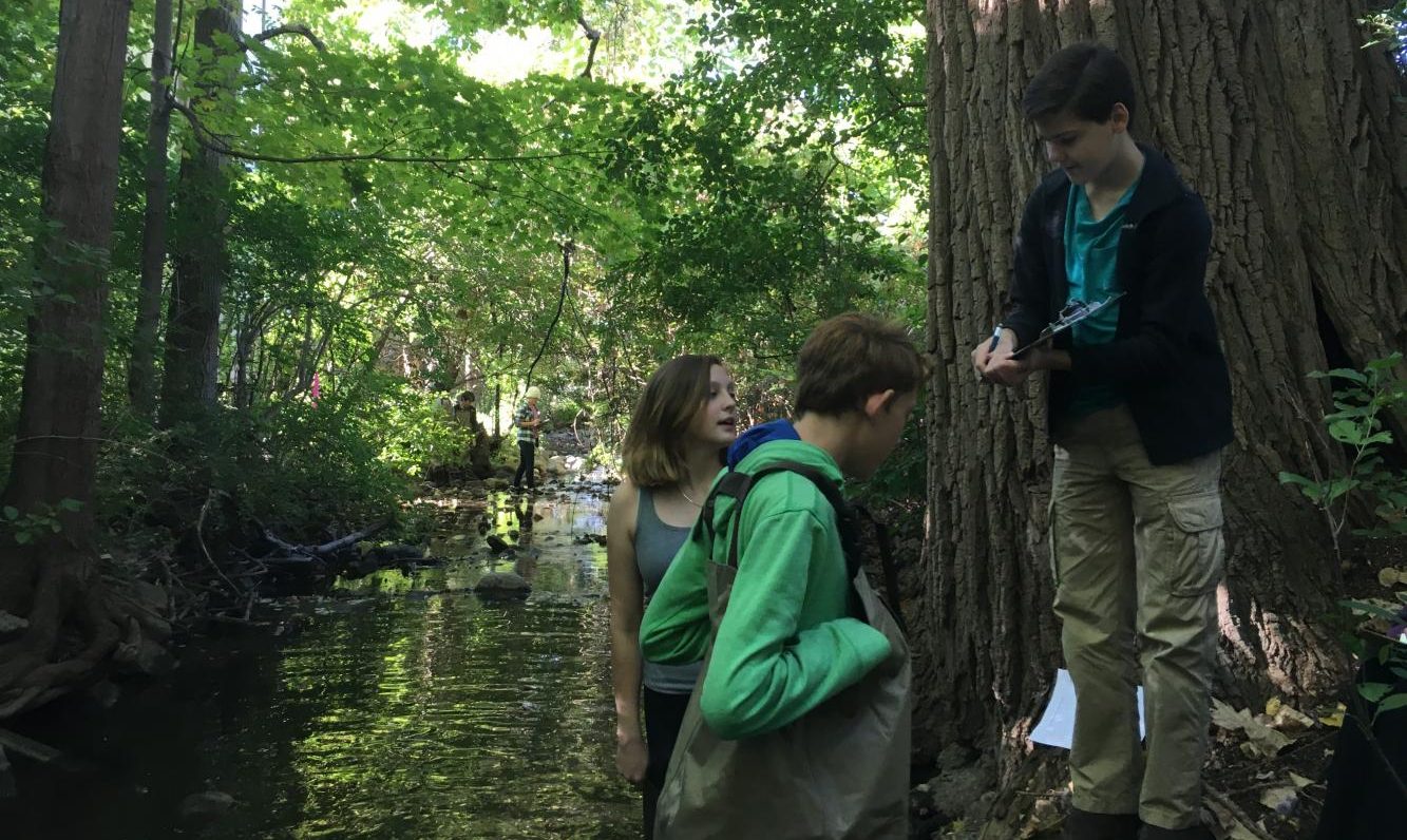 Traver Creek