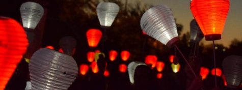 Community Forums Light The Night for Cancer Research